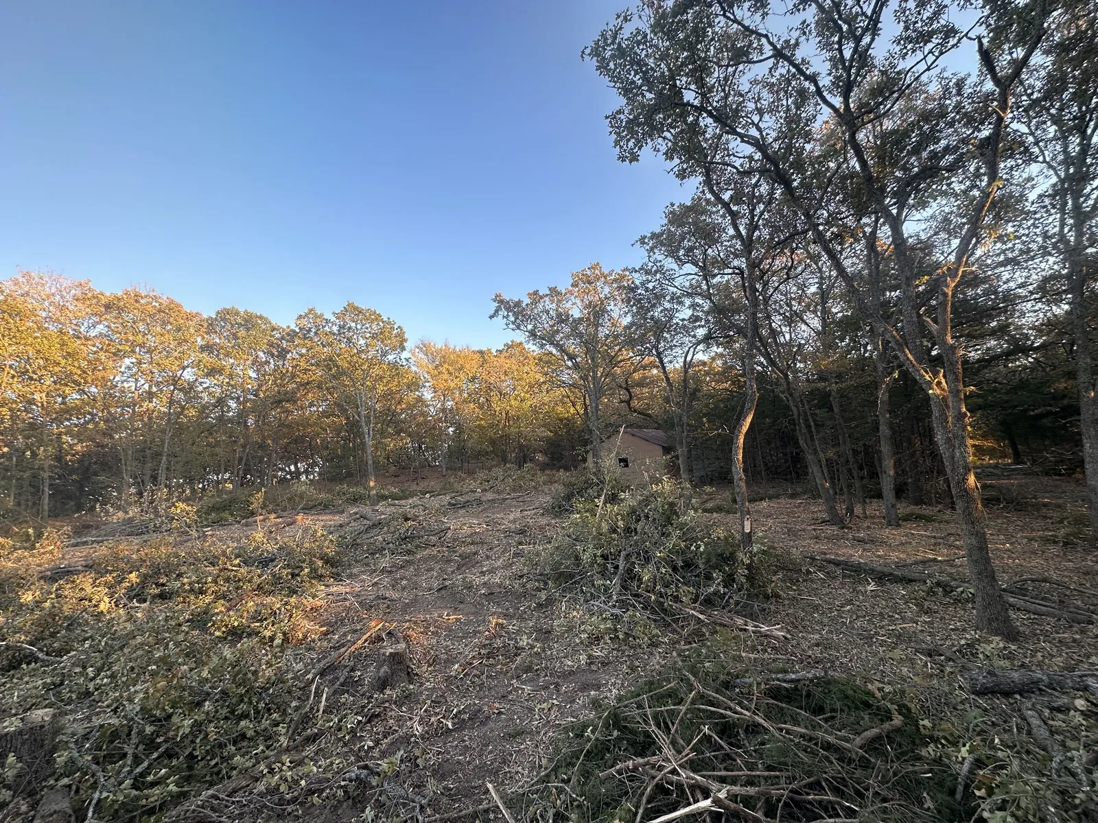 Cedar and brush piled after mechanical cedar removal on Oklahoma pasture