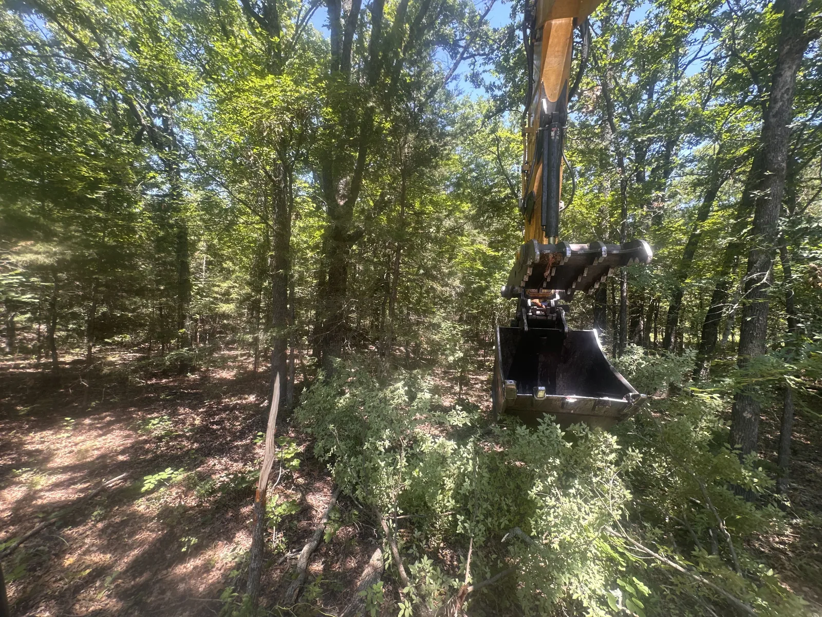 Excavator with a thumb attachment reaching into thick woods on an Oklahoma clearing job