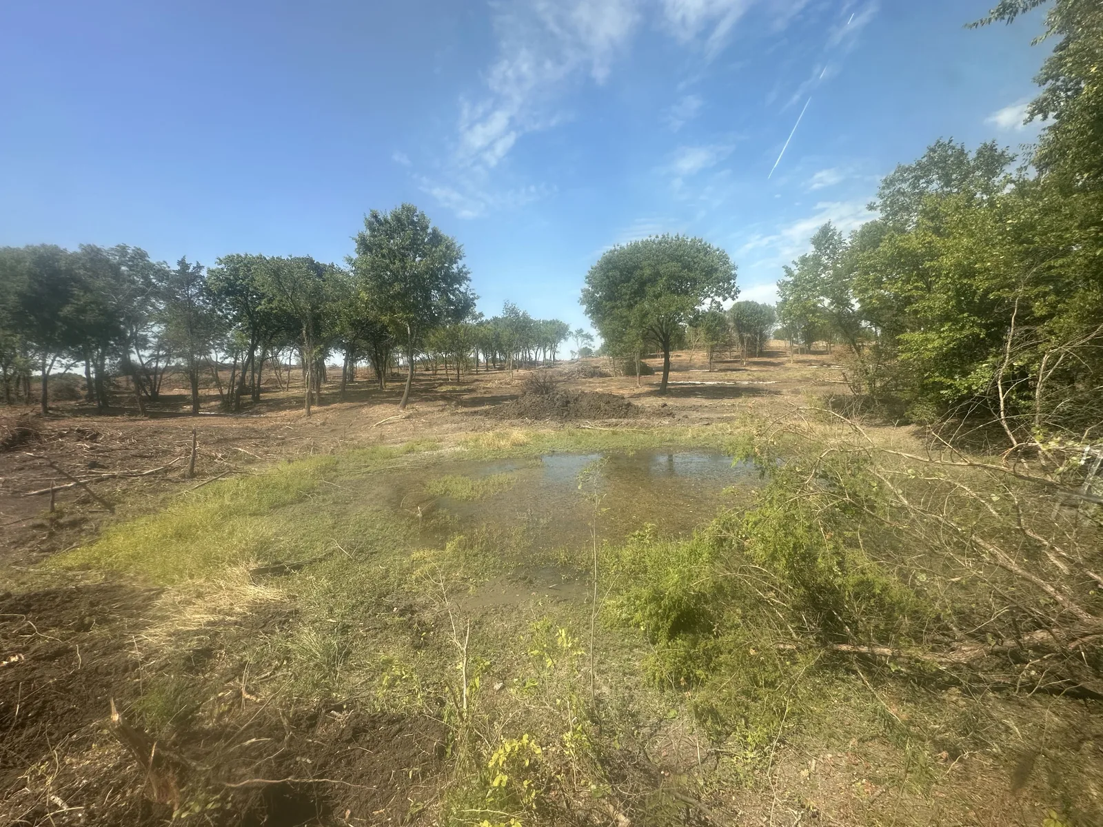 The old pond before the work started, overgrown banks and low water