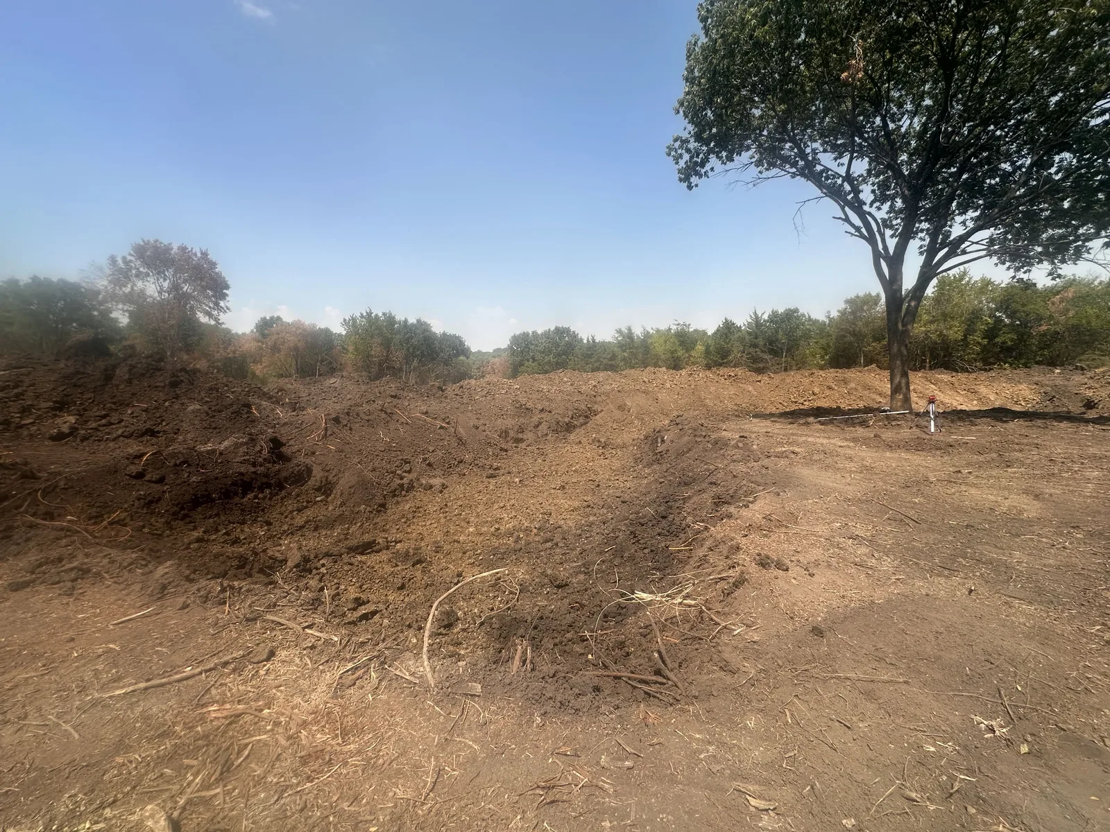 Pond cut and spoil bank against the tree line